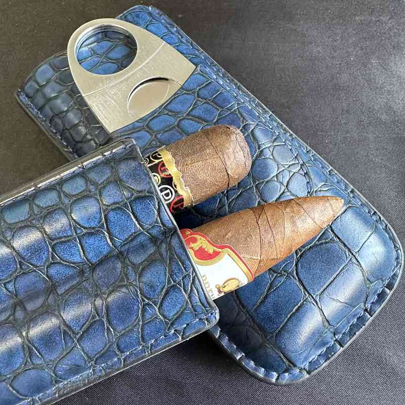 Cigar Tube 2 Slots Case with C - Travel Accessories Youtube ulasan dan harga